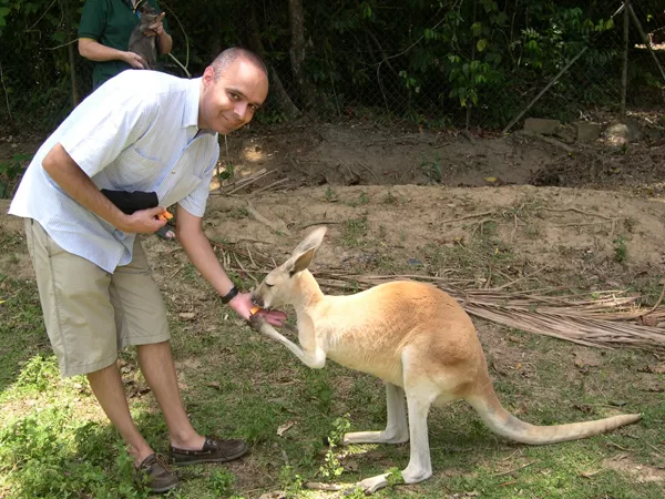 Feeding a Kangaroo, Cairns, Australia, 29.10.2003