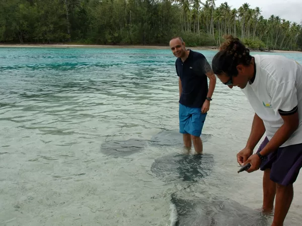 Feeding Stingrays, Moorea, Tahiti (French Polynesia), 01.11.2004
