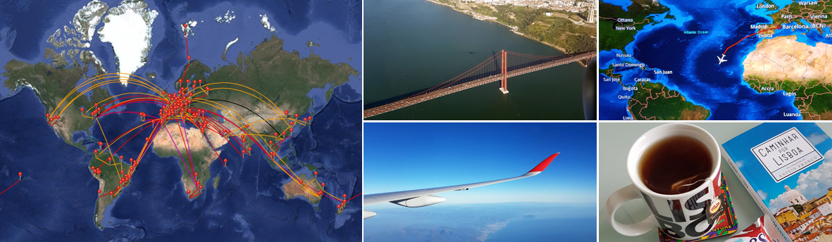 mosaicairlines_1181x0344_2.jpg
